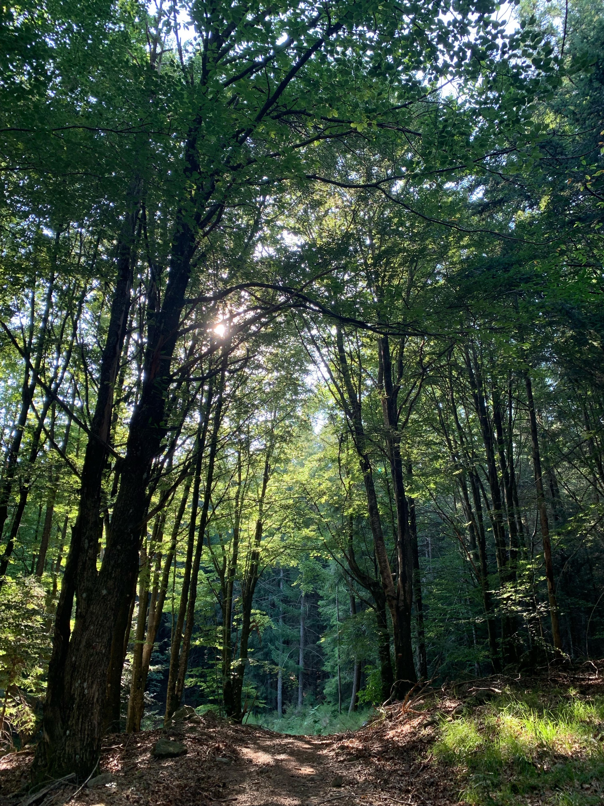 Trekking in 2 days on Monte Amiata