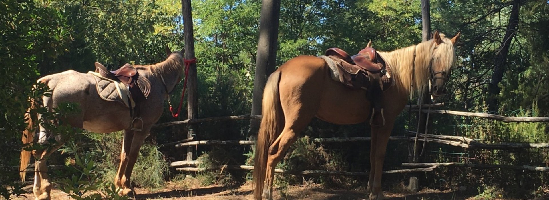 Quattro giorni alla scoperta della Toscana a cavallo Quattro giorni alla scoperta della Toscana a cavallo