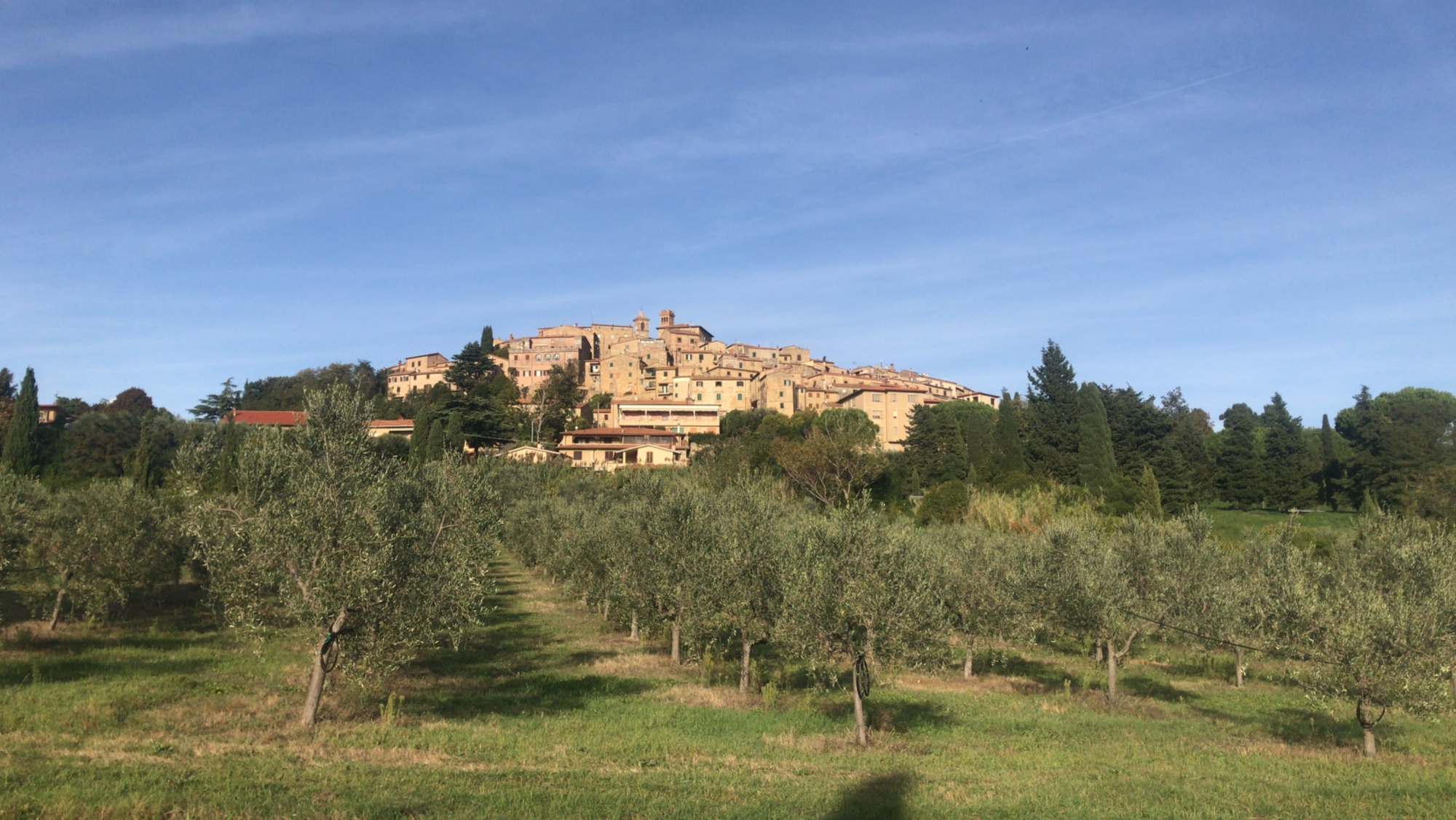 FATTORIA DELLA GIOIOSA