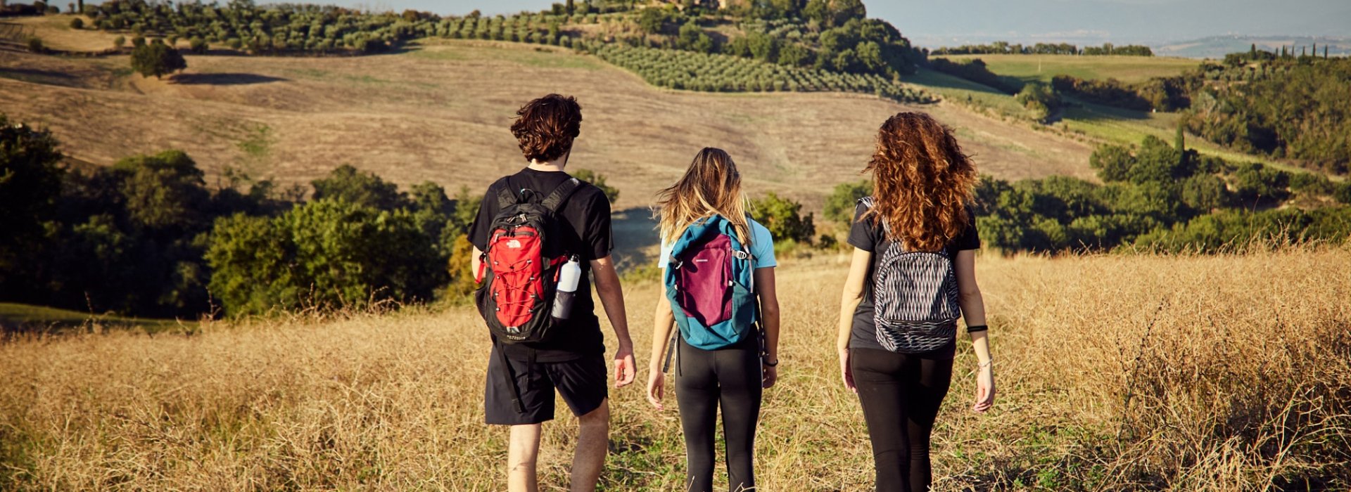 Walking tour sul Sentiero del Vinsanto a Montefollonico Walking tour sul Sentiero del Vinsanto a Montefollonico
