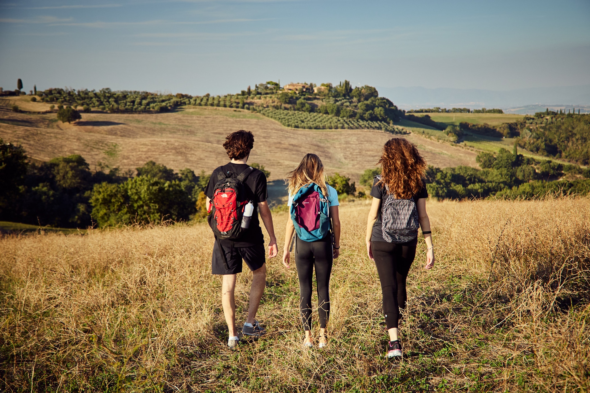Walking tour on the Vinsanto Trail in Montefollonico