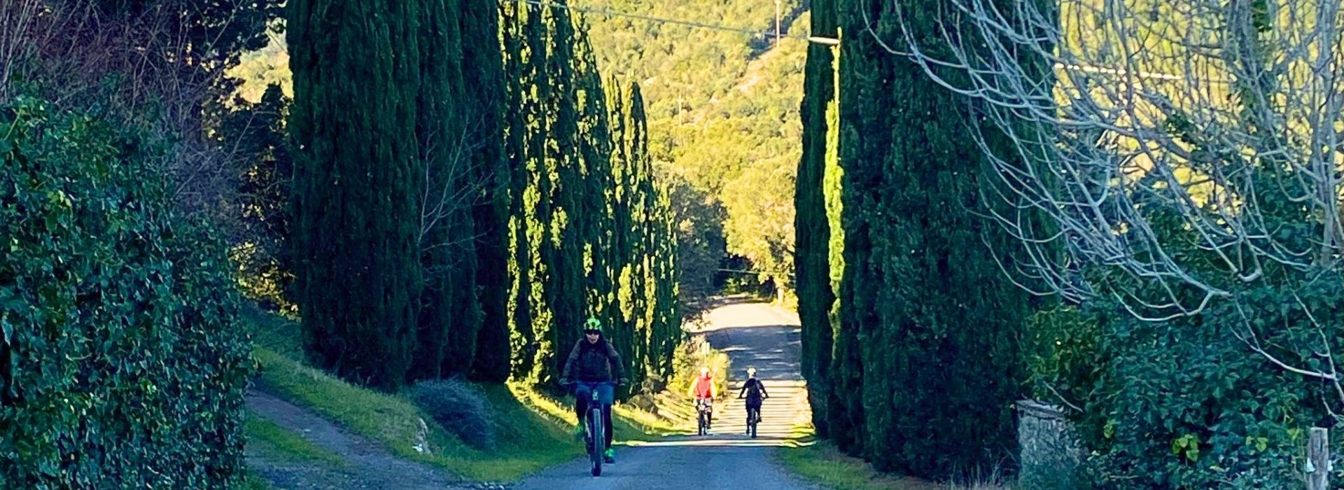 Three cyclists on e-bikes wearing helmets ride along the Viale dei Cipressi in Bolgheri, a long, straight dirt road lined with tall, centuries-old cypress trees, with the Tuscan hills in the background