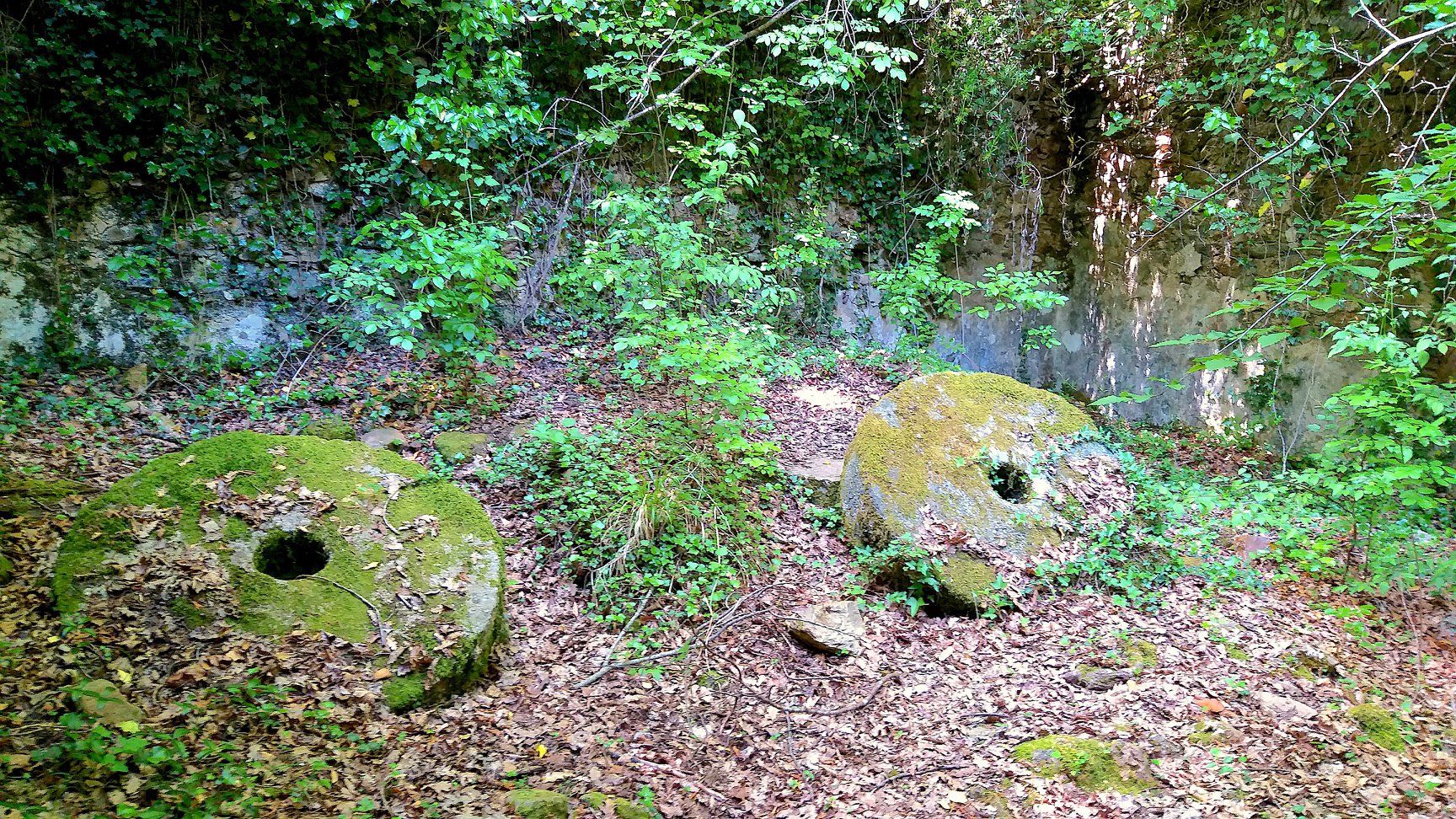 Trekking guidato all'interno della Riserva Alto Merse, a due passi da Siena