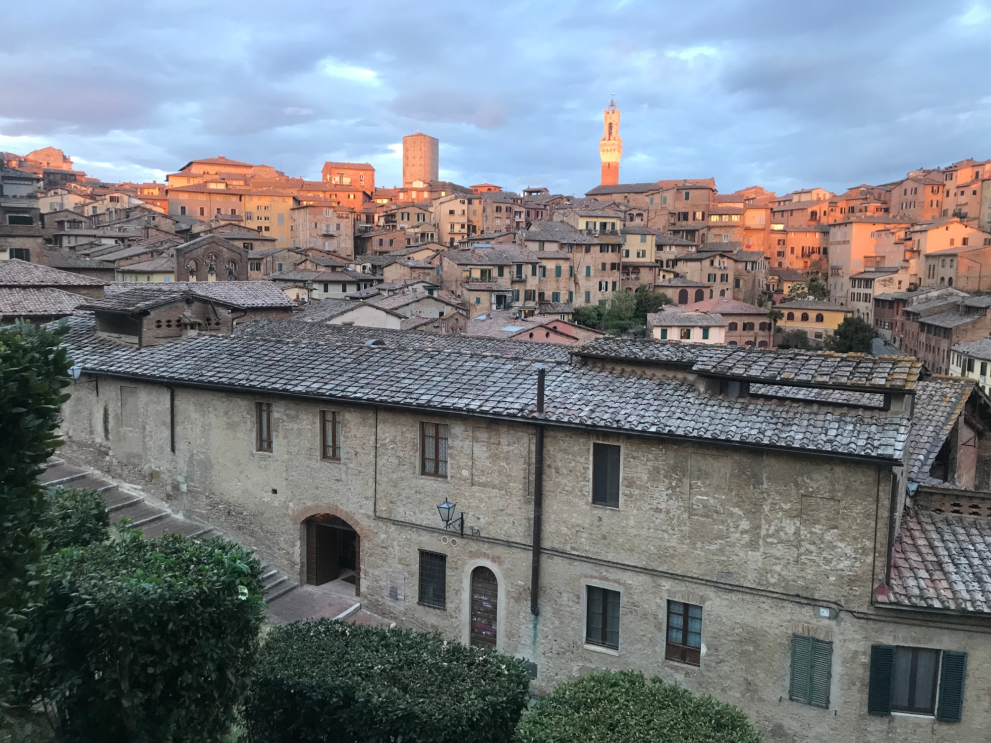 Visita guidata della città di Siena, dalla Basilica di San Domenico a Piazza del Campo