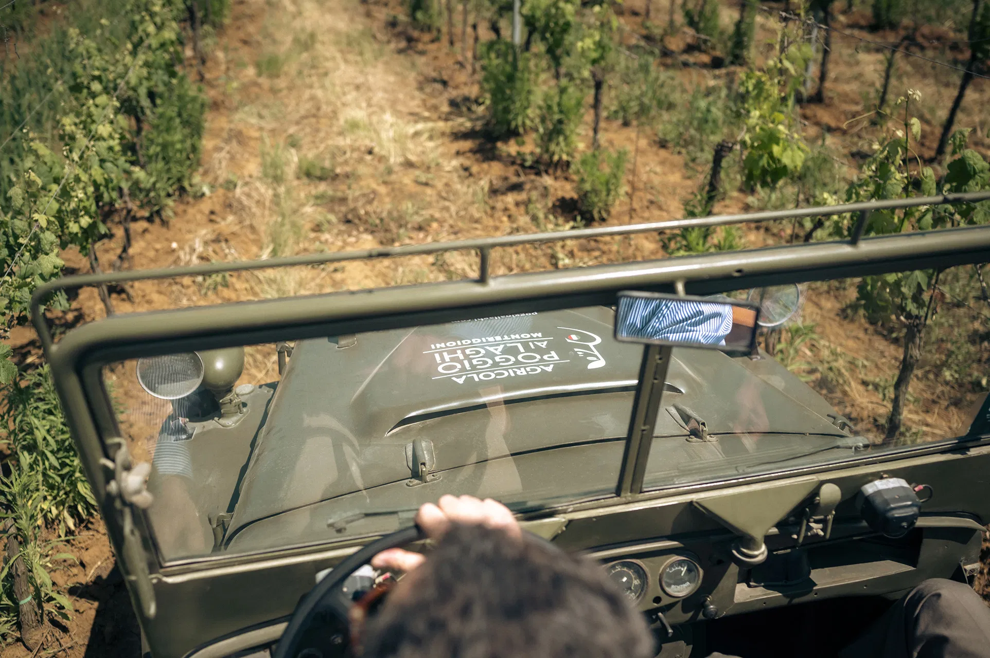 Jeep wine safari tra vigna, lago e cantina