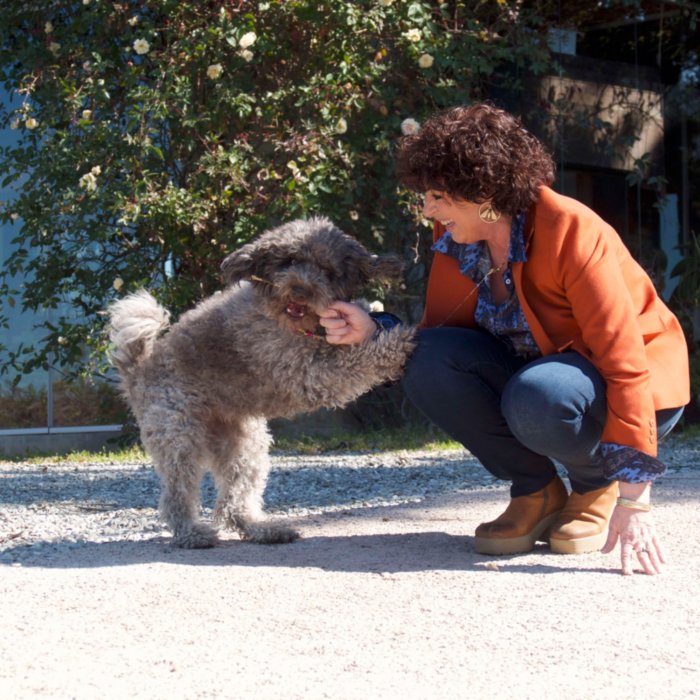 Three days in Maremma in exclusive suites with your four-legged friend