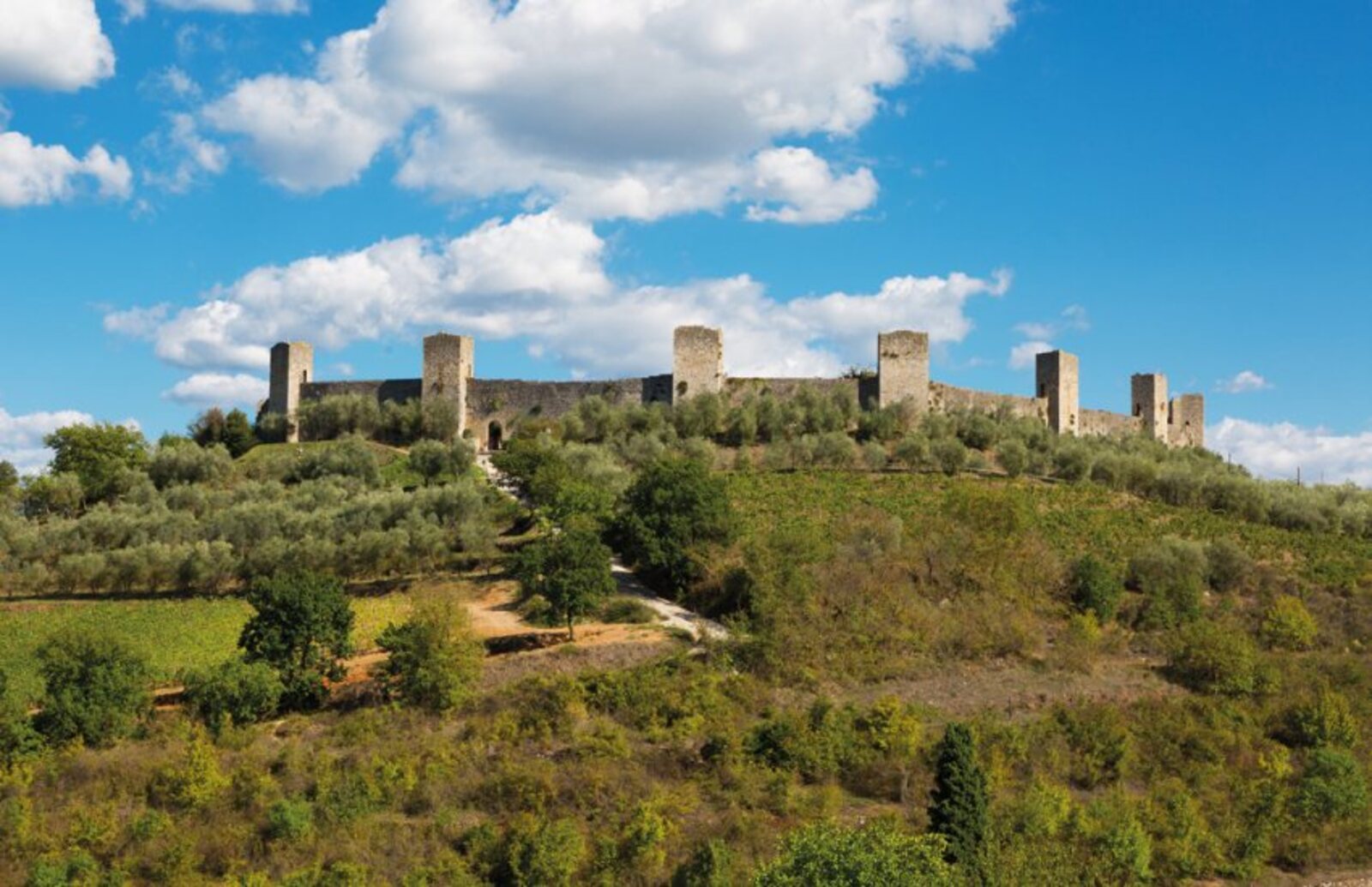 Tour di un'intera giornata tra San Gimignano, Montalcino e il Chianti