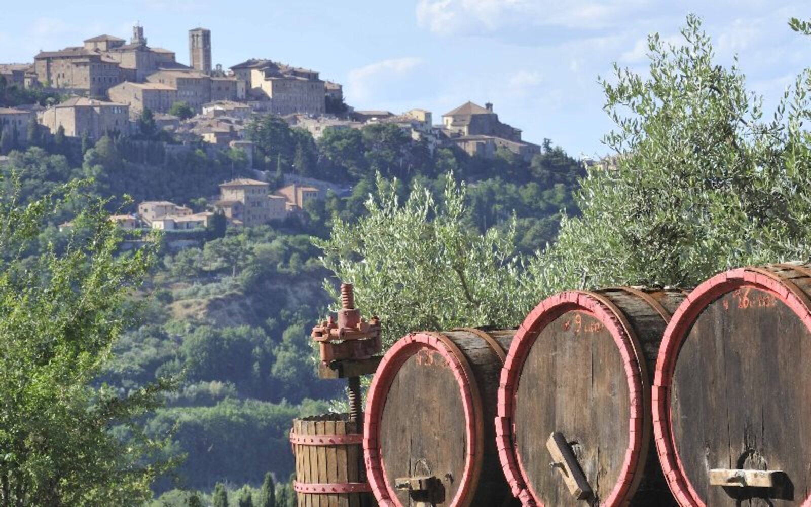 Tour di un'intera giornata tra San Gimignano, Montalcino e il Chianti