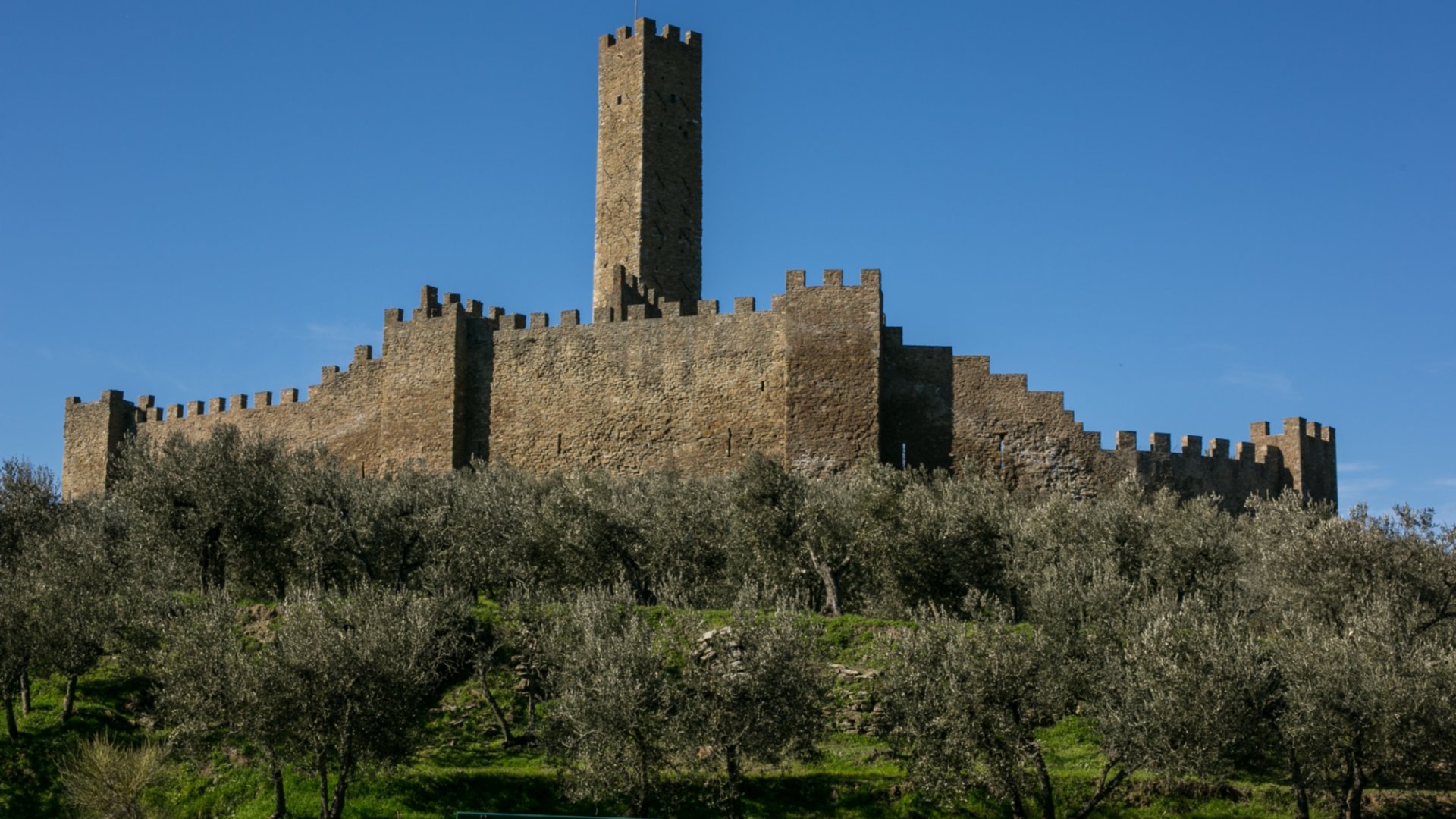 il Castello di Montecchio Vesponi