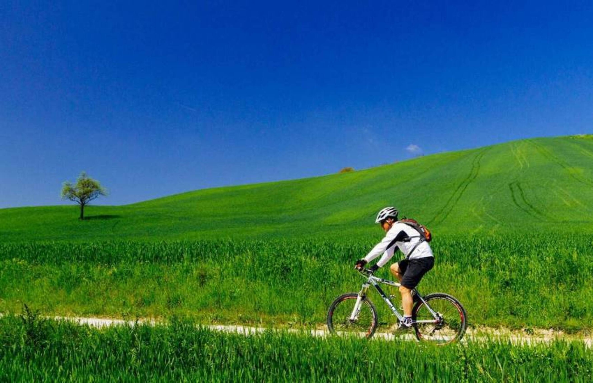 Descubre las bellezas del Chianti en un tour guiado en bicicleta eléctrica con salida desde Siena