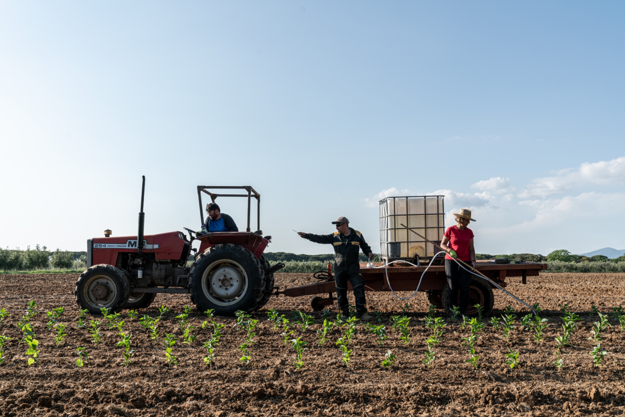 Vieni a trovarci a Bibbona per degustare i peperoncini Peperita