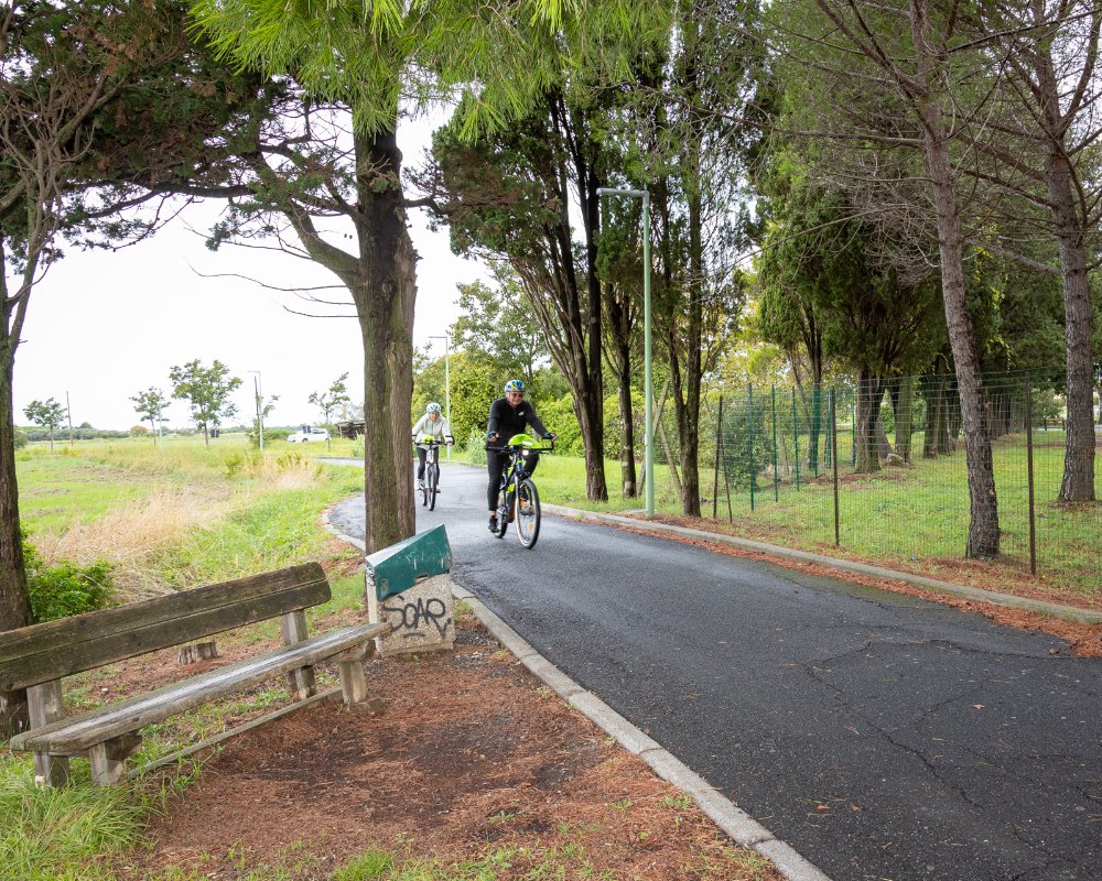 Riding through the museums on the Etruscan Coast