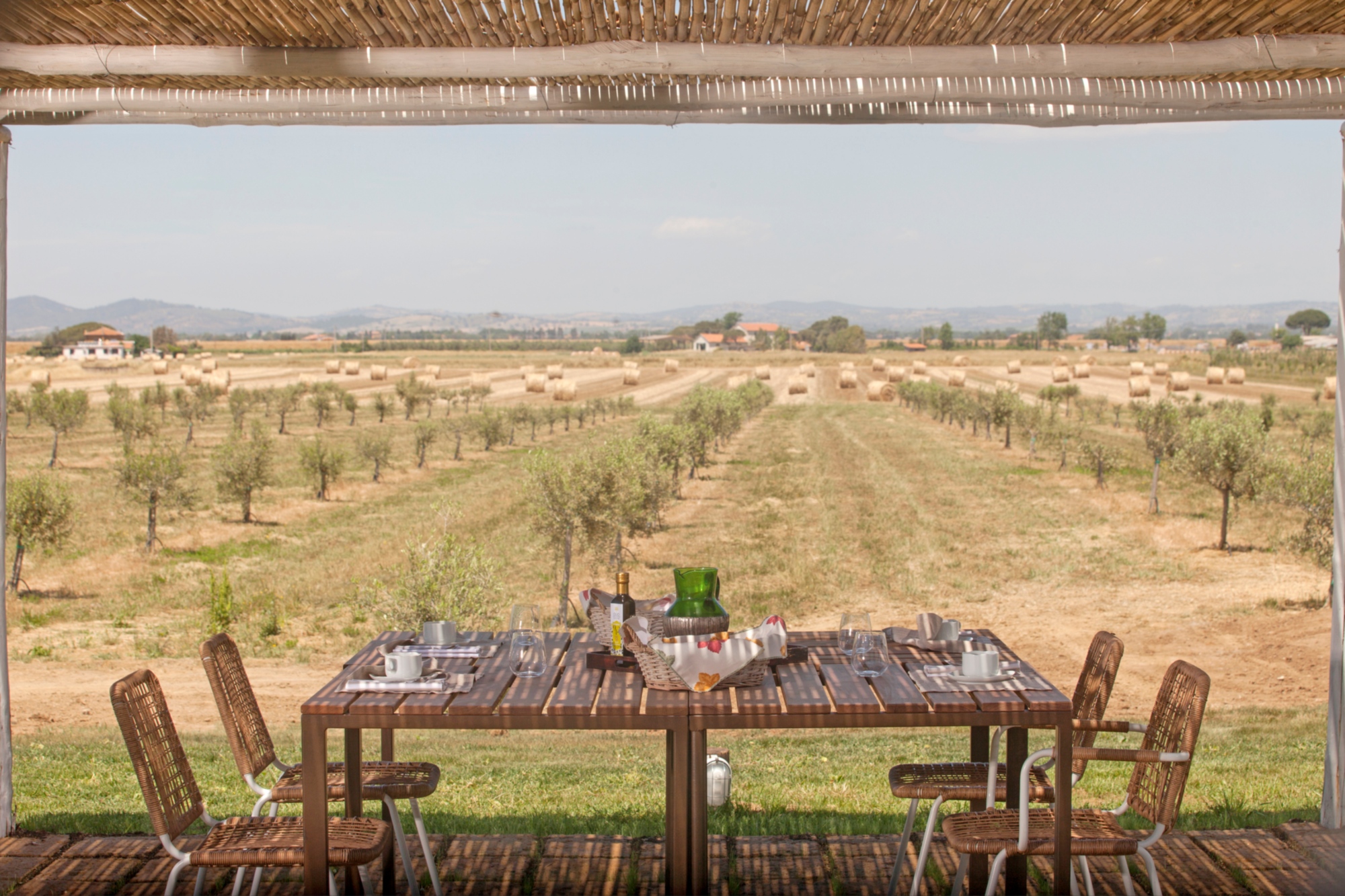 Agriturismo Oliveta in Maremma