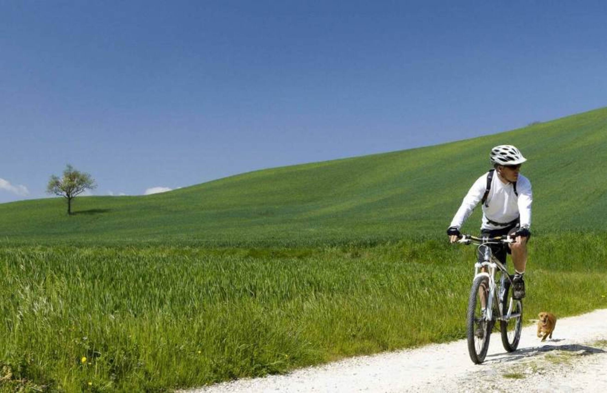 Discover the beauty of Chianti on a guided tour by eBike from Siena