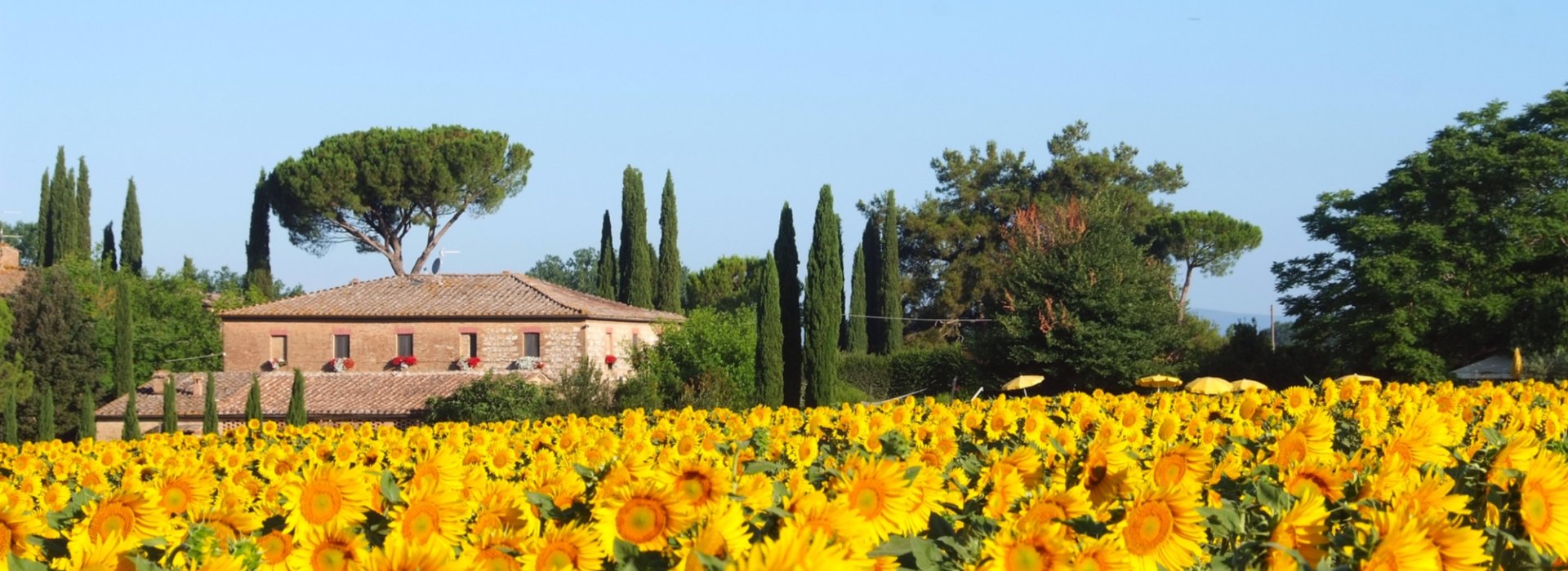 Tre giorni per diciotto persone in villa nella natura senese con degustazione di vino Tre giorni per diciotto persone in villa nella natura senese con degustazione di vino