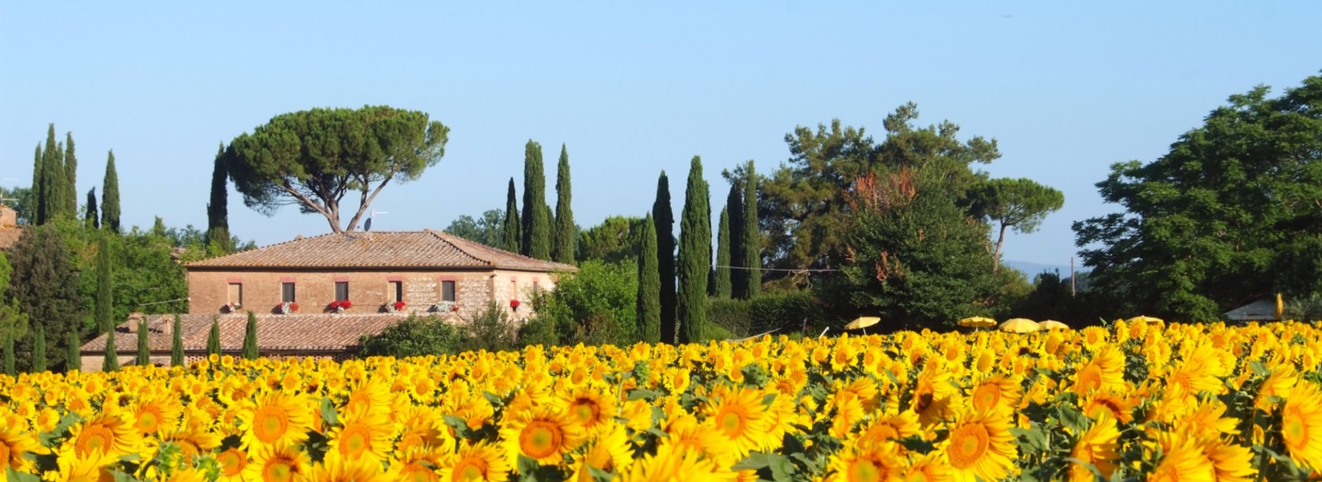 Tre giorni per diciotto persone in villa nella natura senese con degustazione di vino