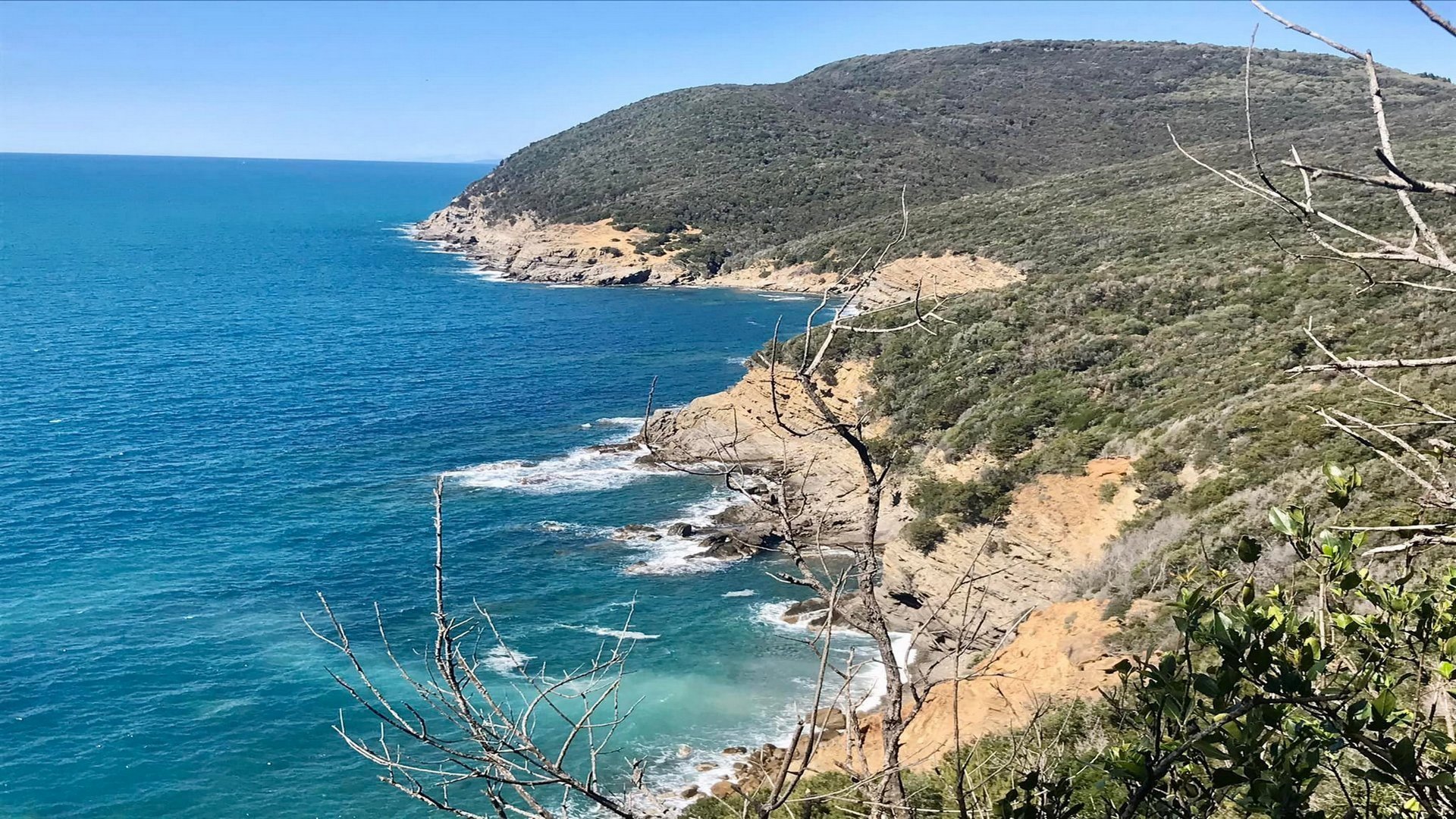 Trekking sul promontorio di Piombino