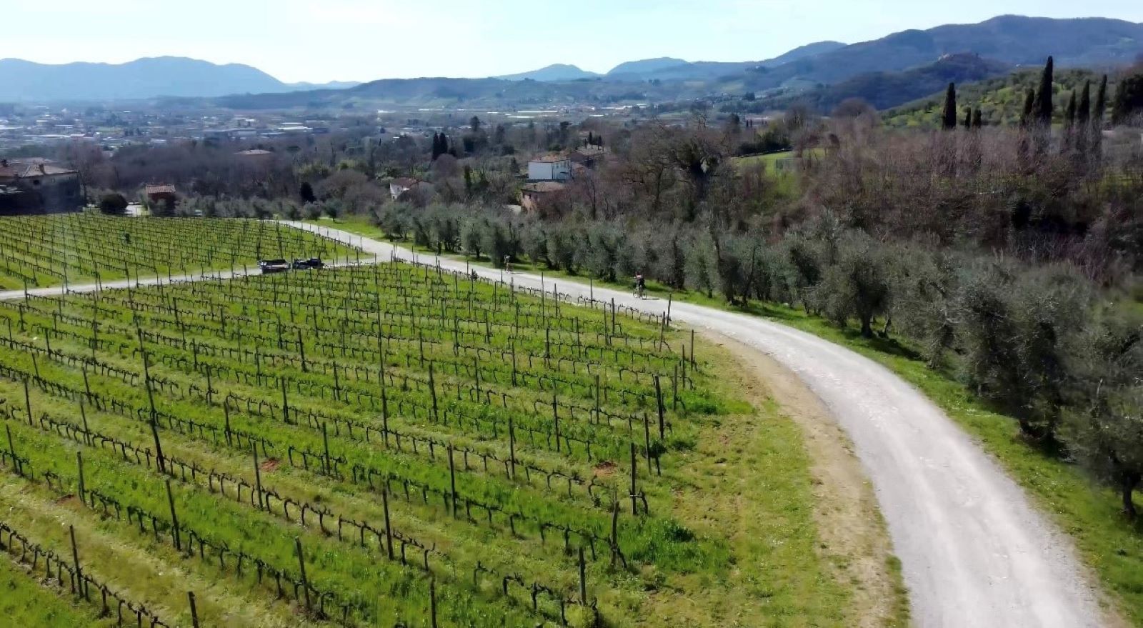 Bike tour through Lucca’s countryside until San Pancrazio, wine tasting and lunch 