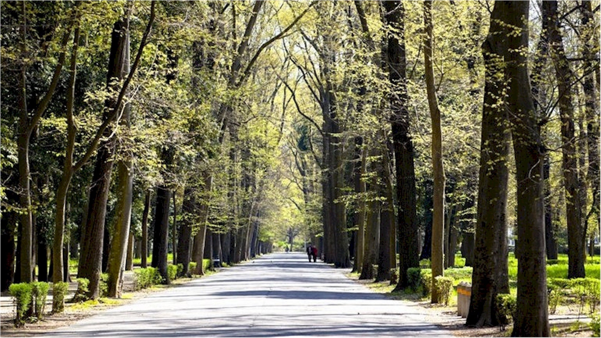 Percorso ad anello di 9 km per conoscere il Parco delle Cascine