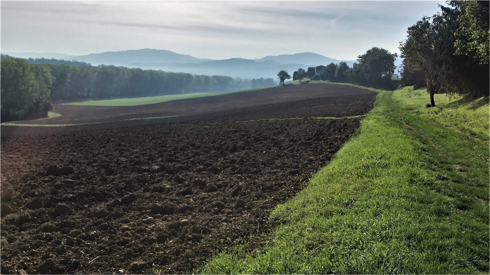 Tour di 14 km nel Mugello tra storia, natura e spiritualità
