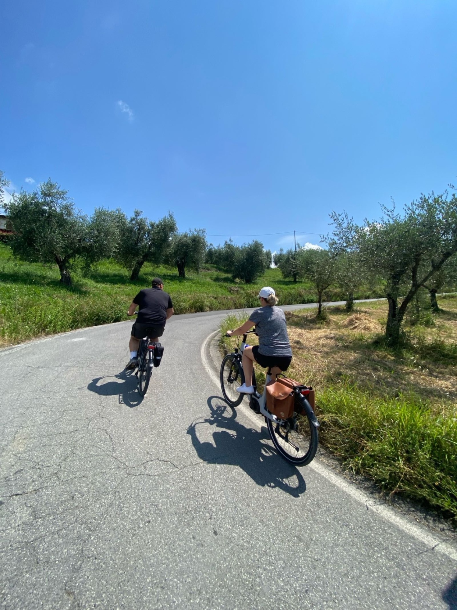 Bike tour of Lucca’s countryside and wine tasting