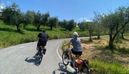 Tour in bicicletta nelle campagne e colline lucchesi con degustazione vini