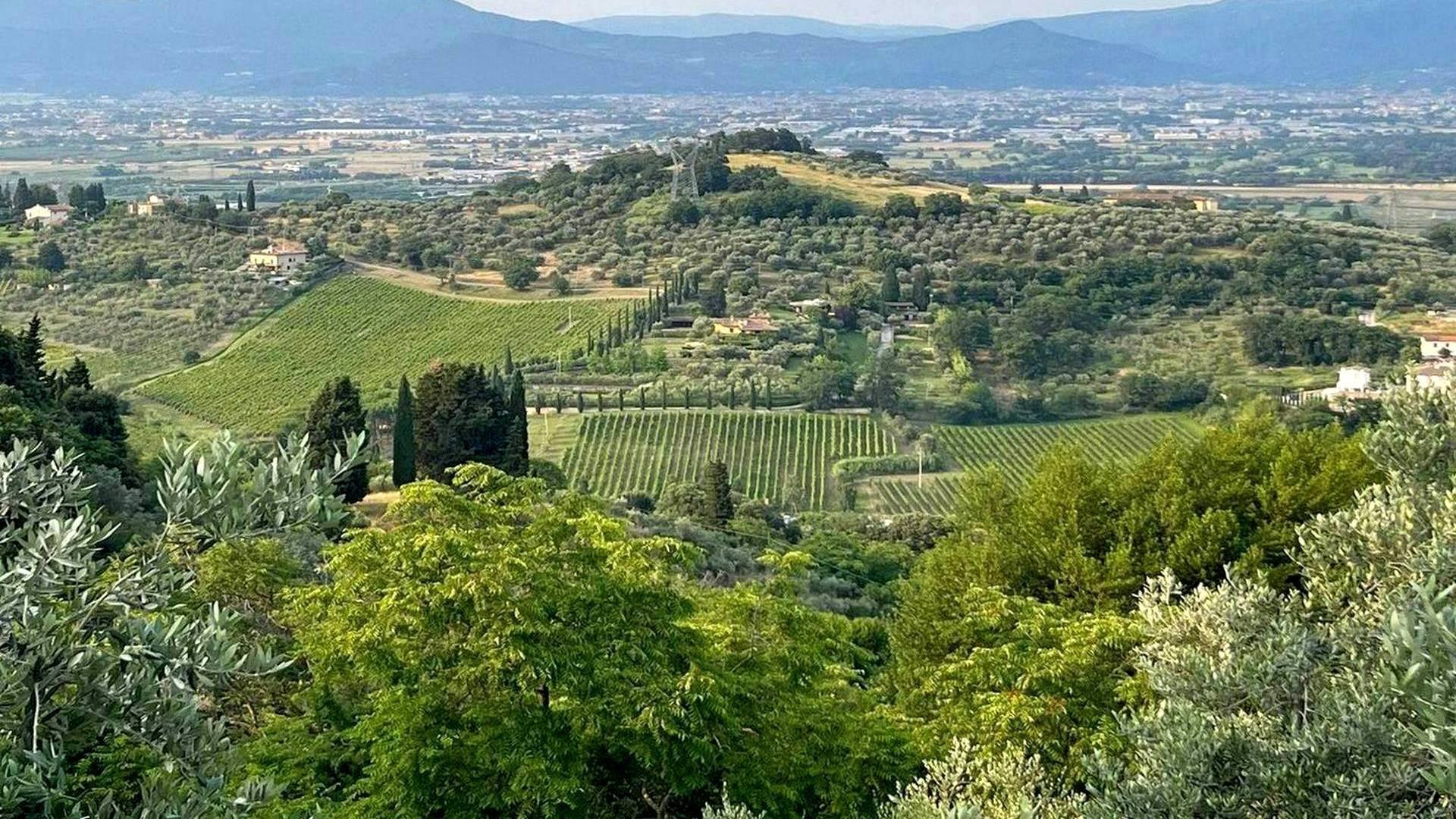 8 km afternoon tour on Montalbano with tasting dinner