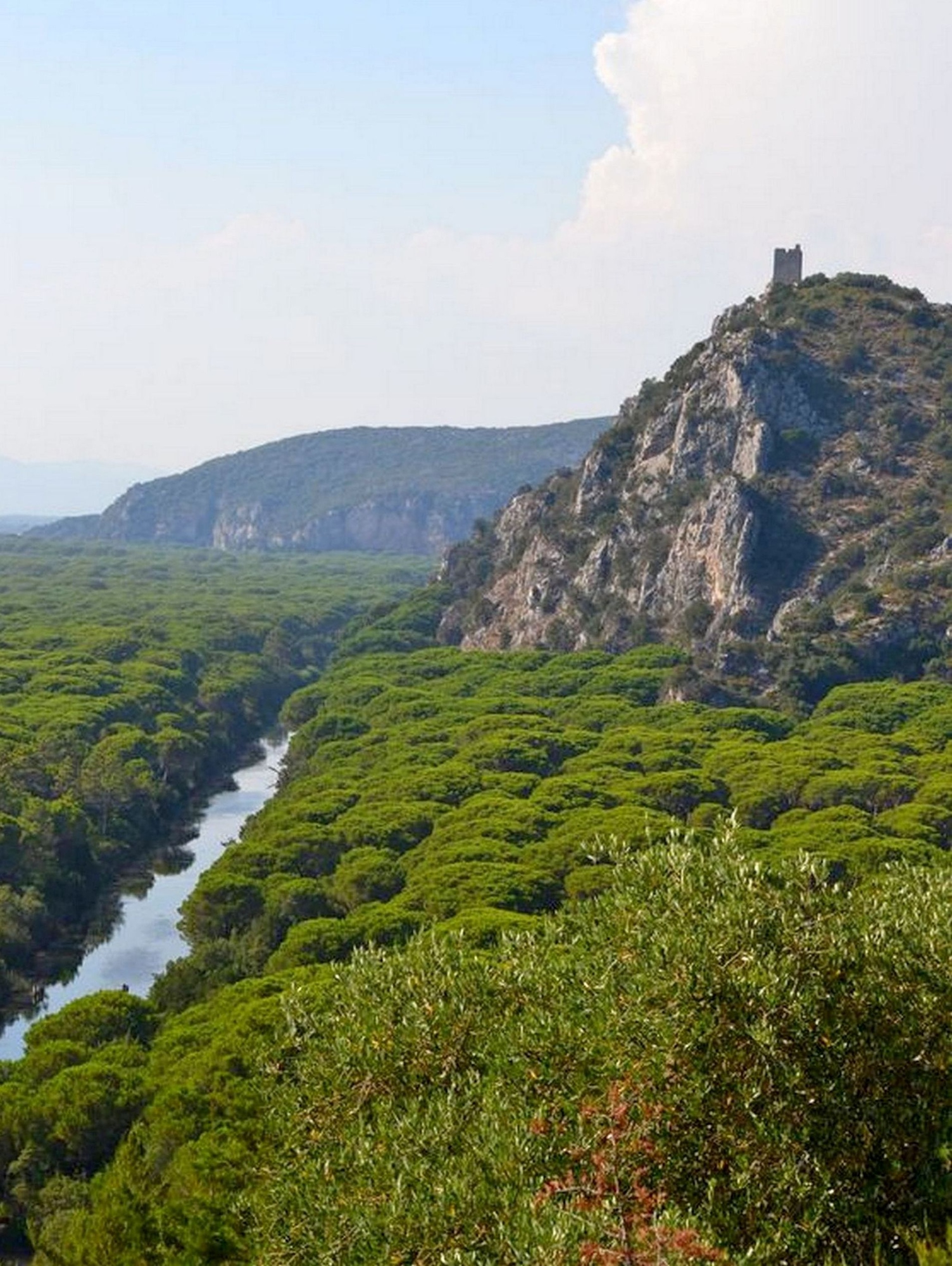 Tour nel Parco Naturale della Maremma