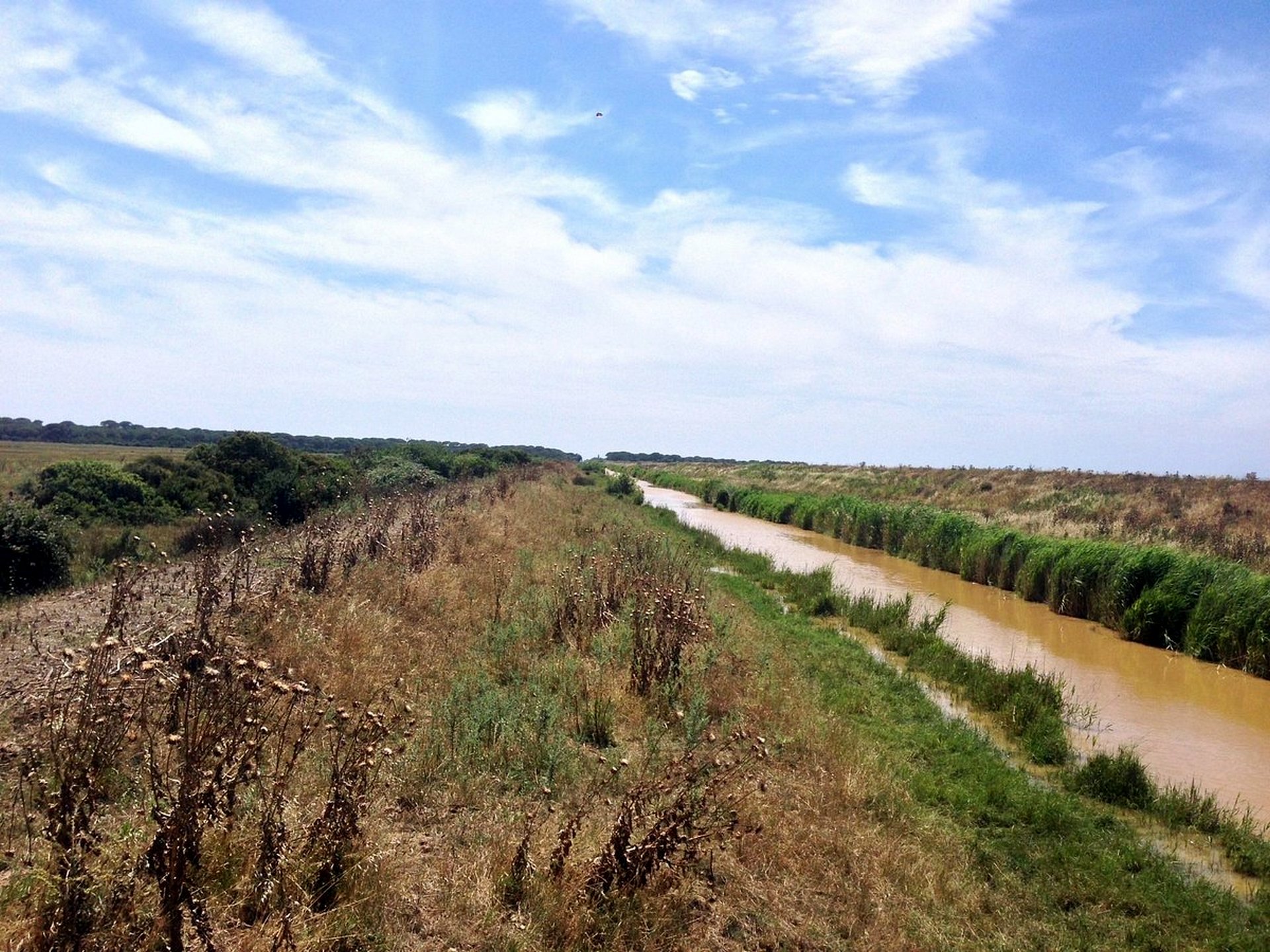 Tour in the Natural Park of Maremma