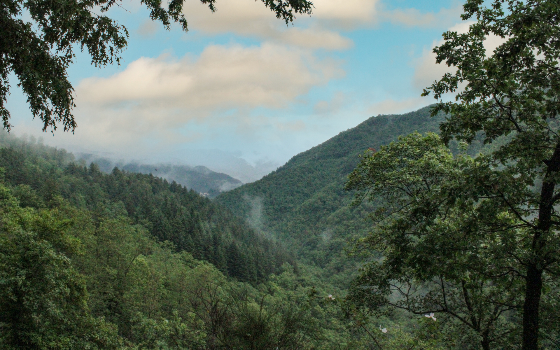 Vista panoramica sulle colline boscose e sulle vette dell'Appennino tosco-emiliano avvolte dalle nuvole