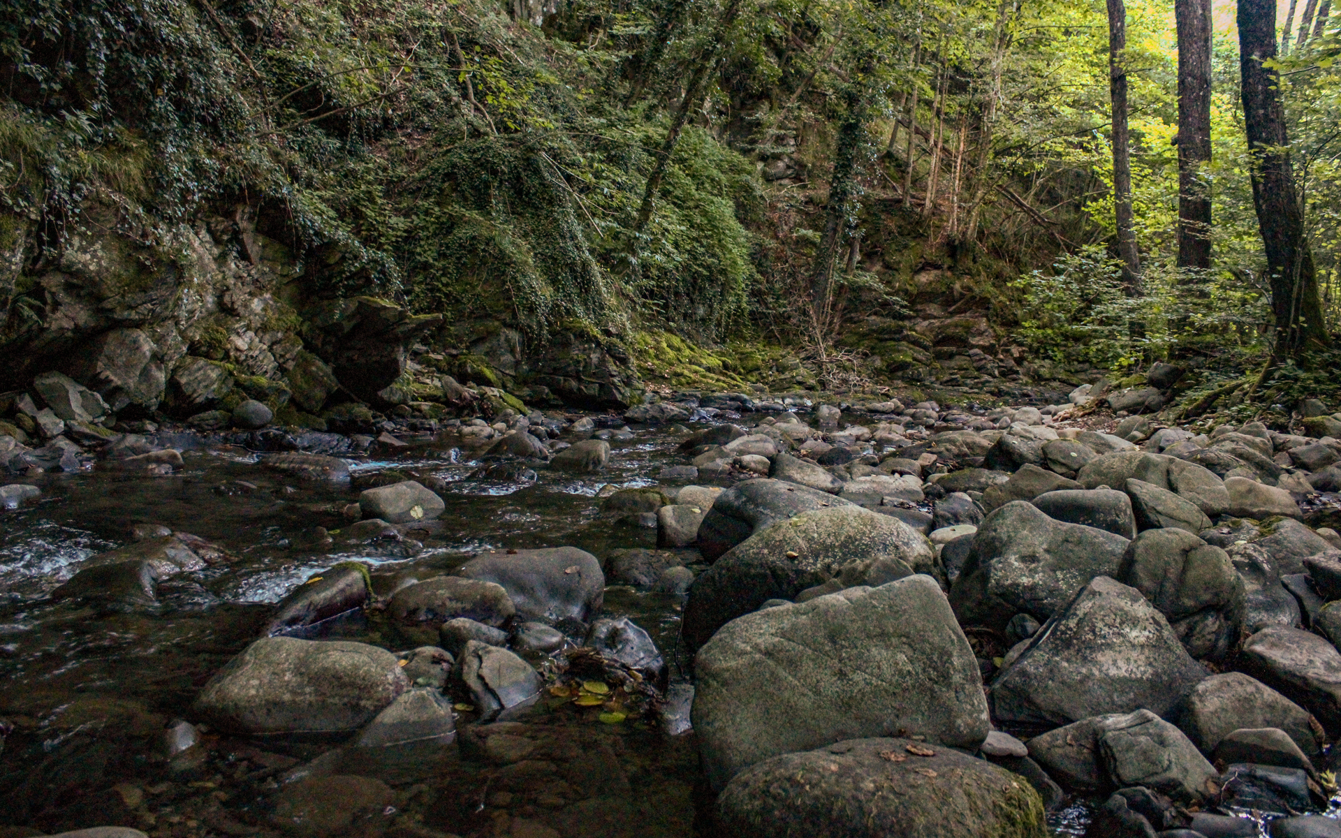 Il torrente tra le rocce nella Riserva Naturale Acquerino Cantagallo