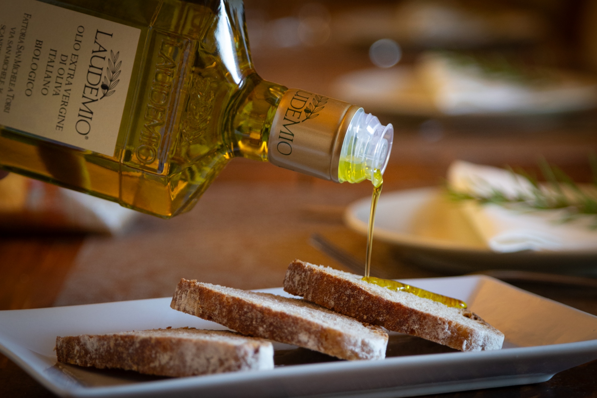 Tasting and light lunch at Fattoria San Michele a Torri