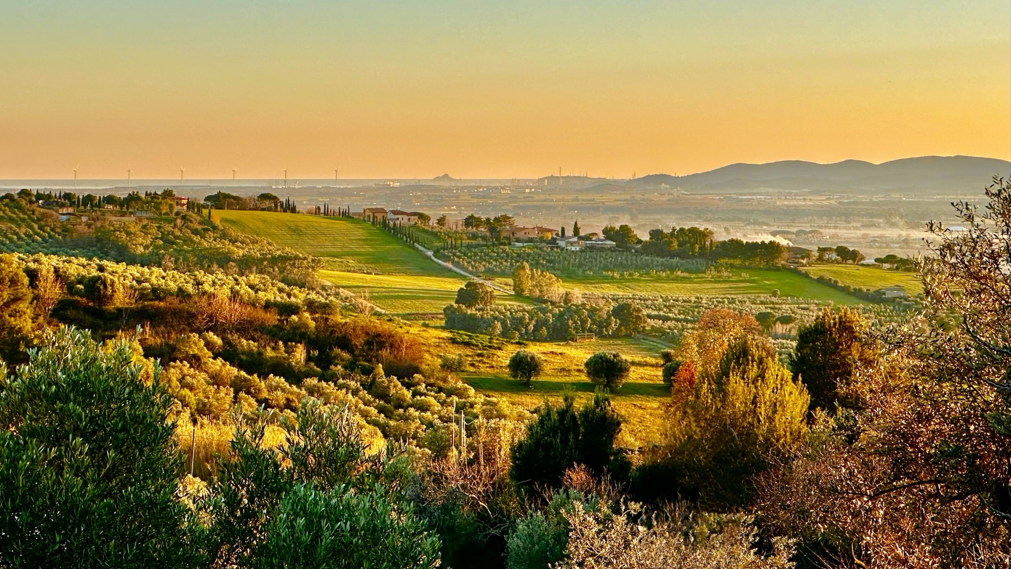 Agriturismo Costa Etrusca