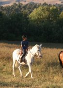agriturismo-cavalli-toscana-1.jpg