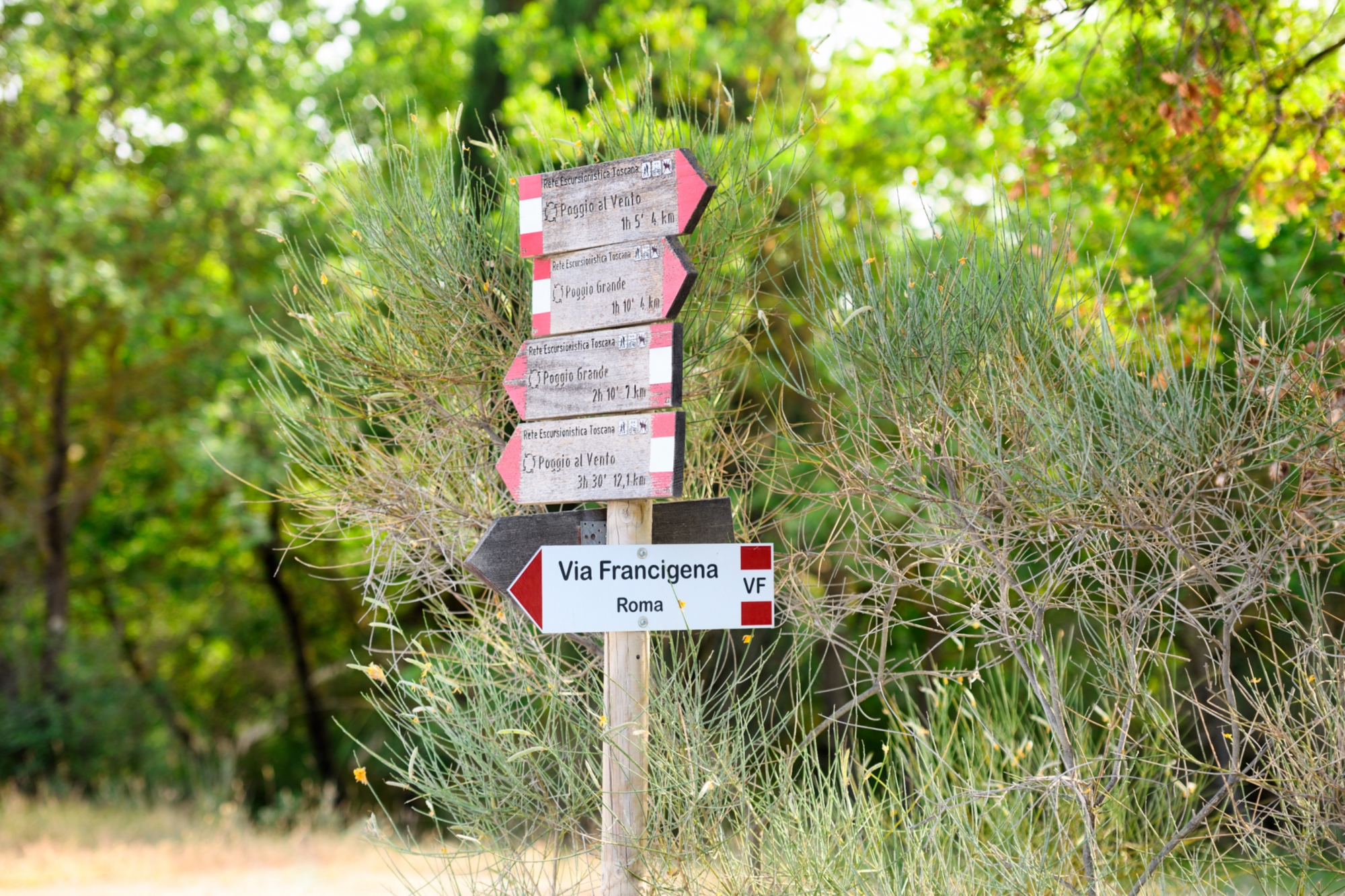 Trekking lungo la Via Francigena tra San Quirico d'Orcia e Radicofani