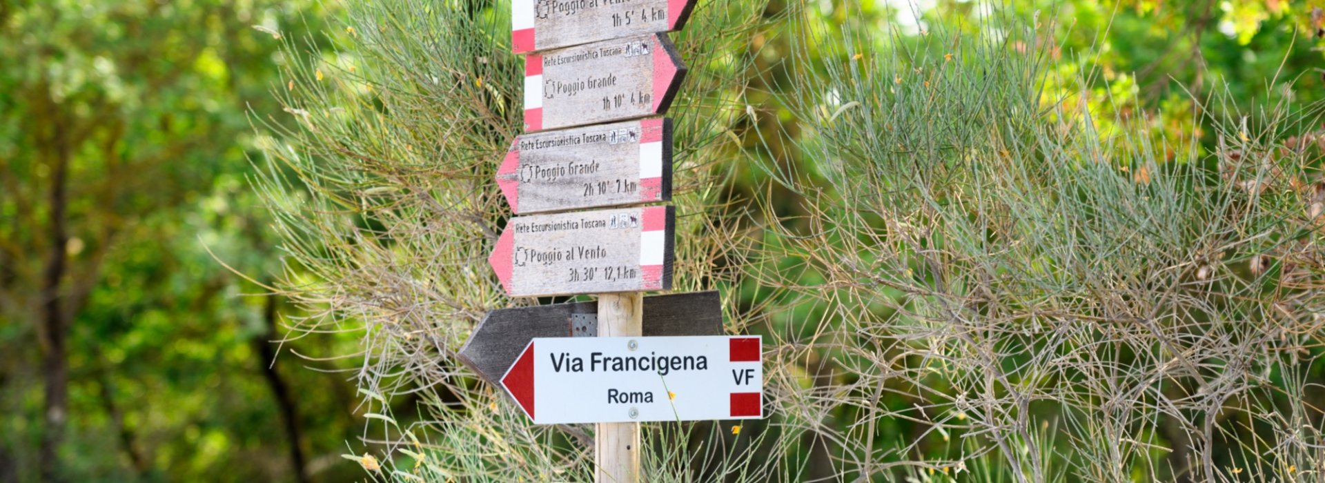 Trekking along the Via Francigena between San Quirico d'Orcia and Radicofani