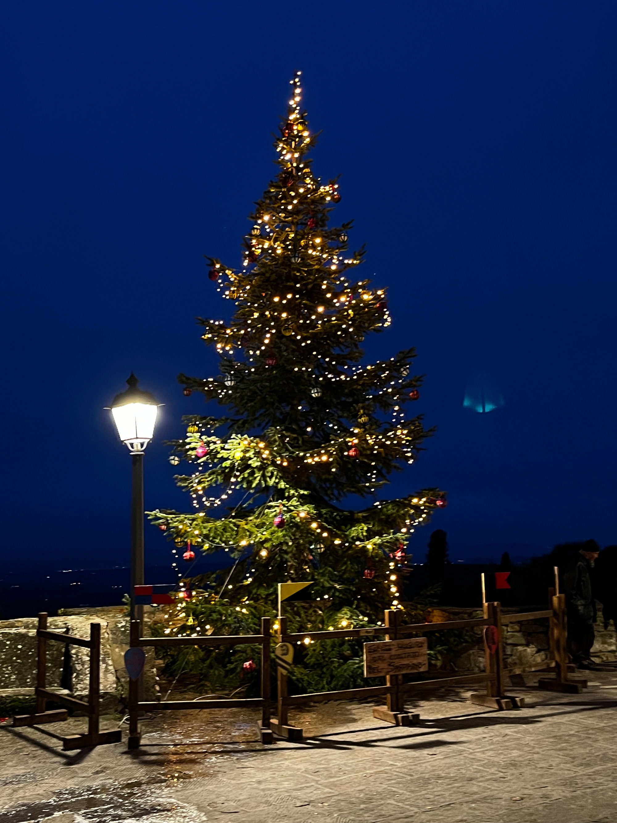 Albero di Natale addobbato