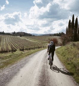 cycling on gravel roads through vineyards