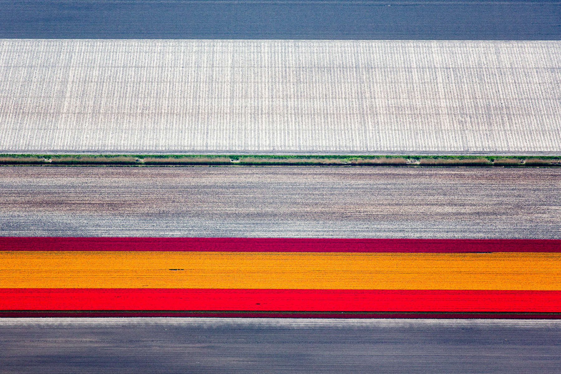 Una delle fotografie in mostra