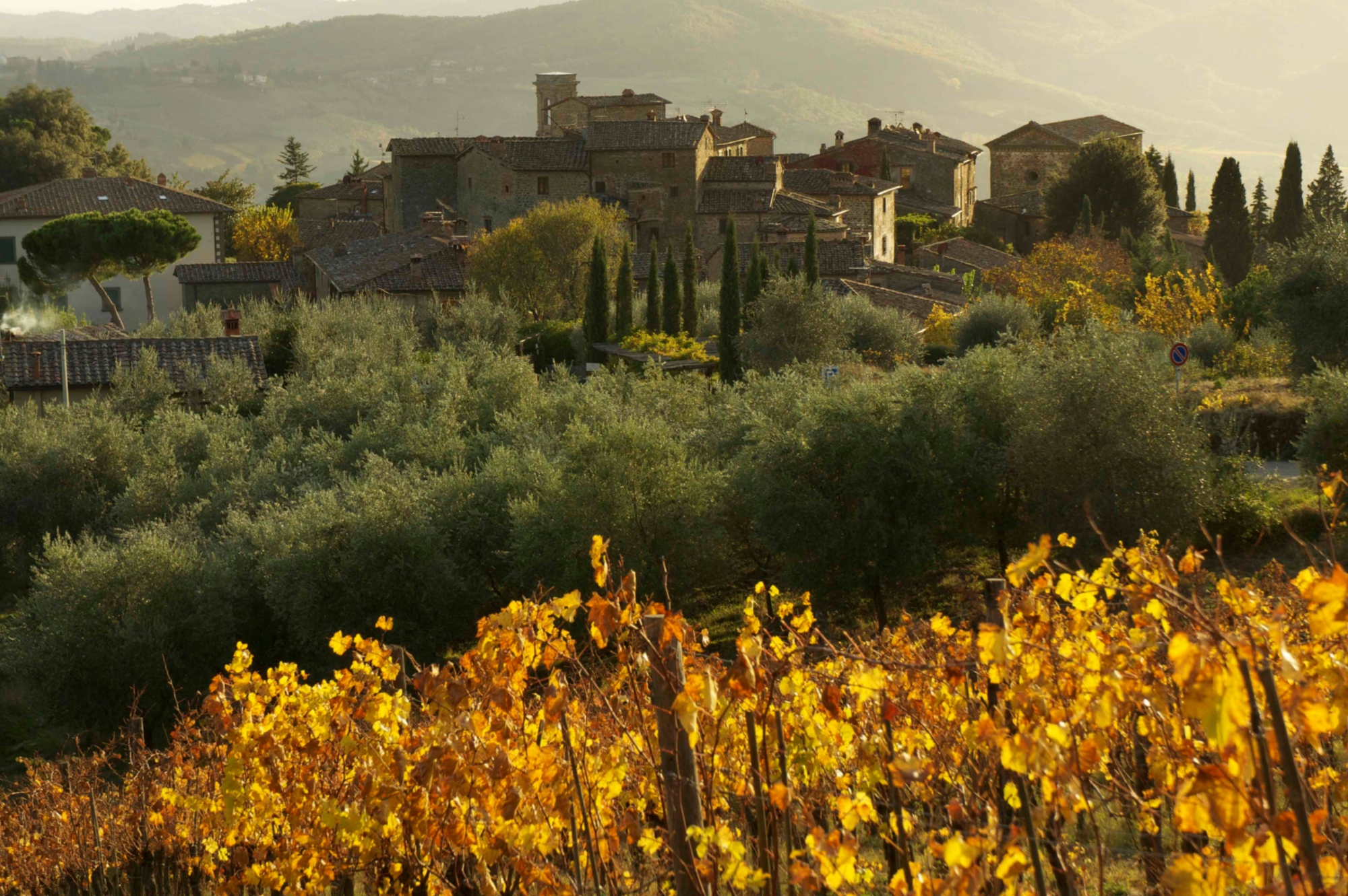 Veduta del Castello di Volpaia da lontano