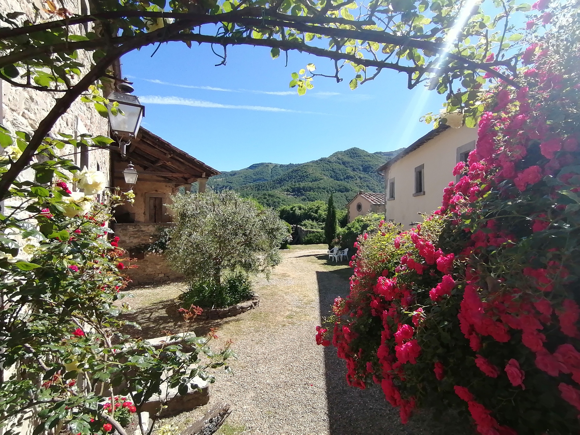 Arrivo nel Borgo attraverso un viale esterno con fiori e tettoia fatta di rami