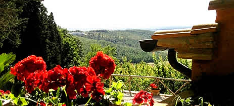 LA PRUGNOLA