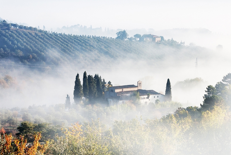 Podere La Casellina