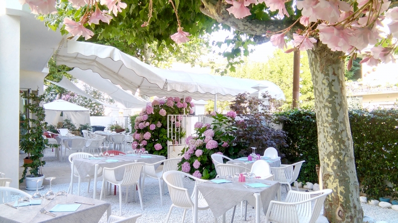 Hotel Petit Camaiore