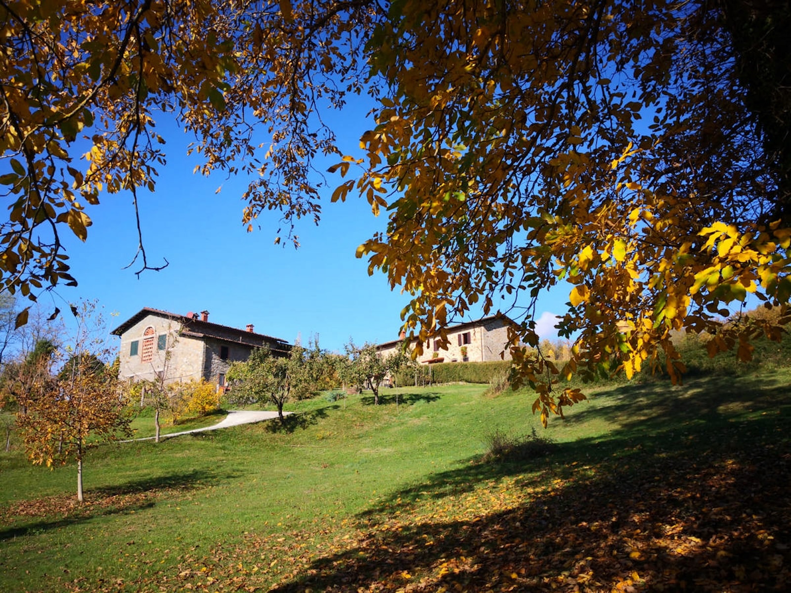 Podere Braccicorti surrounded by green lawn, seen from below