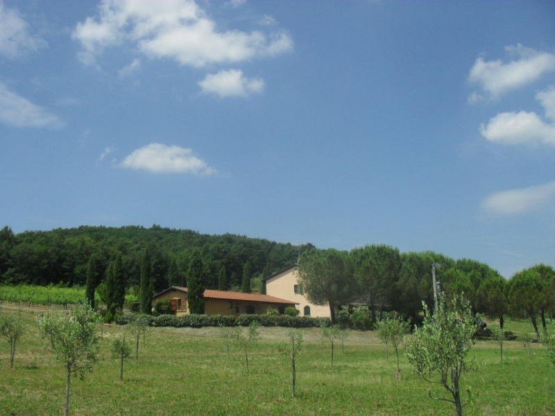 Podere Mulinaccio farmhouse in Maremma