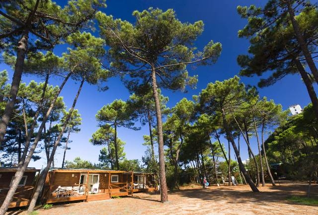 PuntAla Camp & Resort lungo la costa Tirrenica Toscana