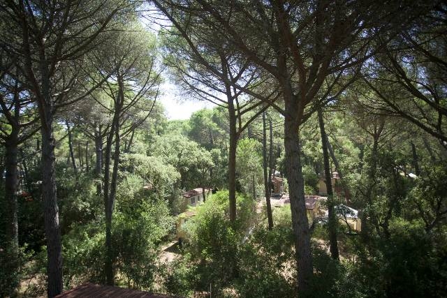 PuntAla Camp & Resort lungo la costa Tirrenica Toscana