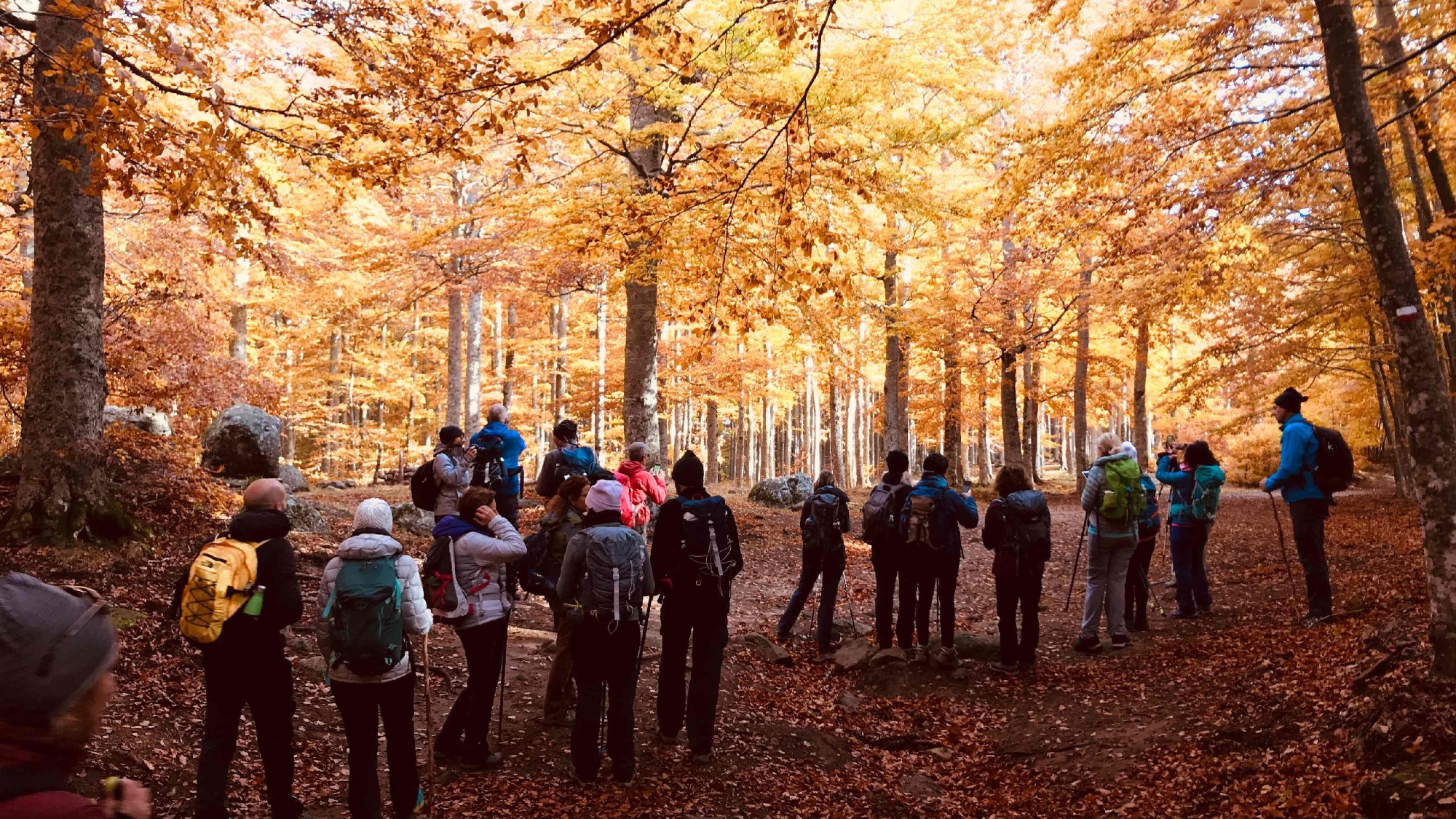 Due giorni a spasso nei colori autunnali delle faggete del Monte Amiata