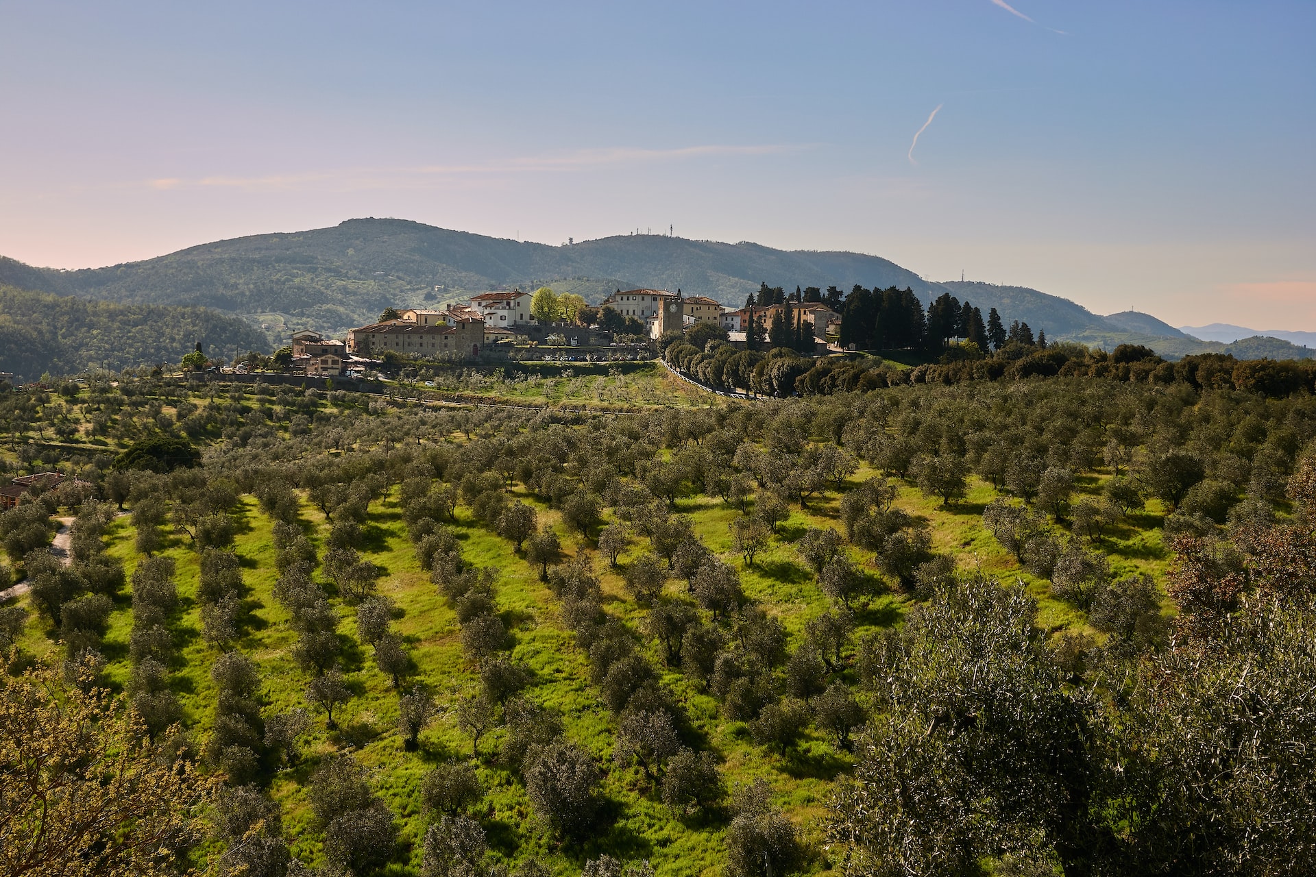 Un viaggio tra avventura, archeologia e scienza nelle terre toscane e al Museo Archeologico di Artimino